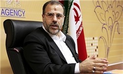   اخبارسیاسی ,خبرهای  سیاسی ,امیری 
