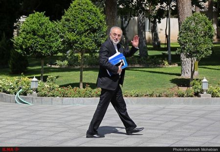   اخبارسیاسی ,خبرهای  سیاسی , علی اکبر صالحی