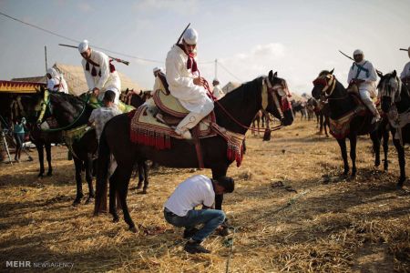 اخبار,عکس خبری,اسب سواری درمراکش