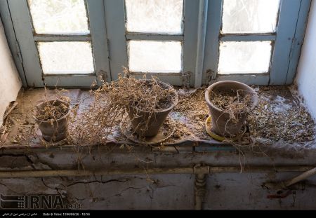 اخبار,عکس خبری,خانه «پرویز مشکاتیان»