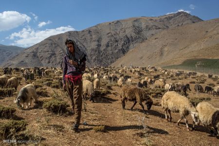 اخبار,عکس خبری,قاچاق کالا در مرز ایران و عراق