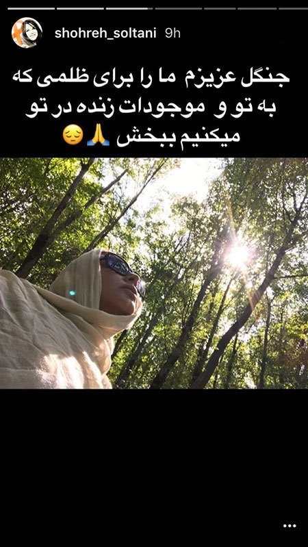 اخبار فرهنگی,اخبار هنرمندان,اخبار بازیگران
