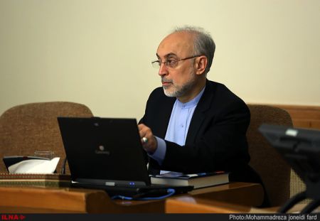   اخبارسیاسی ,خبرهای  سیاسی , صالحی