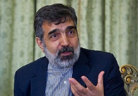  اخبارسیاسی ,خبرهای  سیاسی , سخنگوی سازمان انرژی اتمی