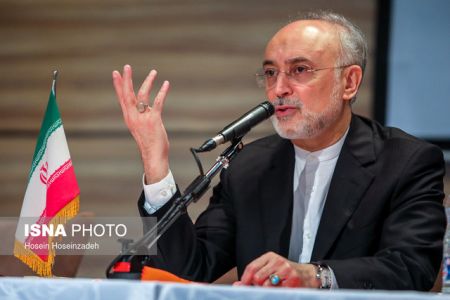   اخبارسیاسی ,خبرهای  سیاسی ,علی اکبر صالحی