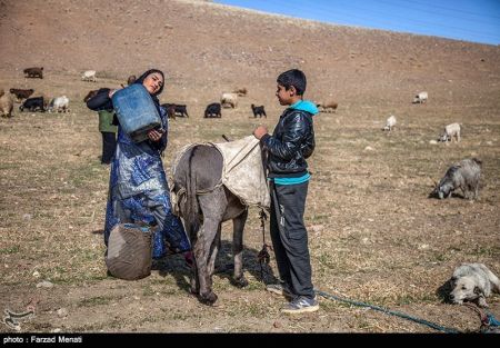 اخبار,اخبار فرهنگی وهنری,دختر کوچ نشین ، قهرمان یازده دوره کیک بوکسینگ