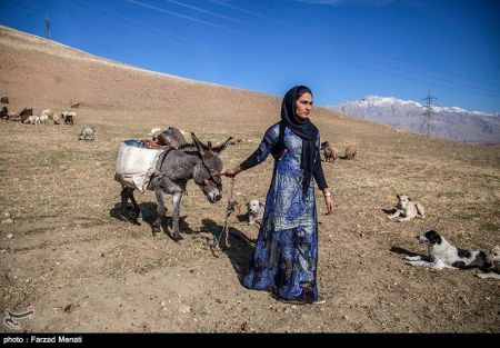 اخبار,اخبار فرهنگی وهنری,دختر کوچ نشین ، قهرمان یازده دوره کیک بوکسینگ