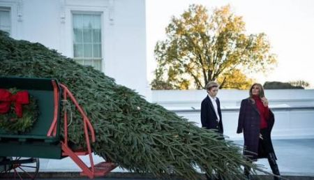     اخباربین الملل,خبرهای  بین الملل , درخت کریسمس در کاخ سفید