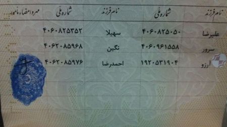 اخبار,اخبار ورزشی,علیرضا بیرانوند