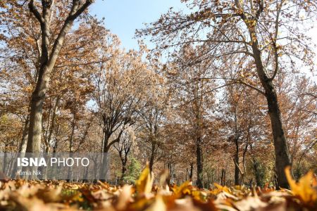 اخبار,انعکاس,عصر پاییزی تهران