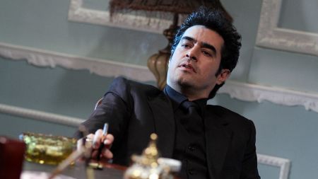 اخبار,اخبار فرهنگی,شهاب حسینی