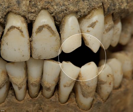 اخبار,اخبار گوناگون,بازسازی چهره سرباز 370 ساله بریتانیایی