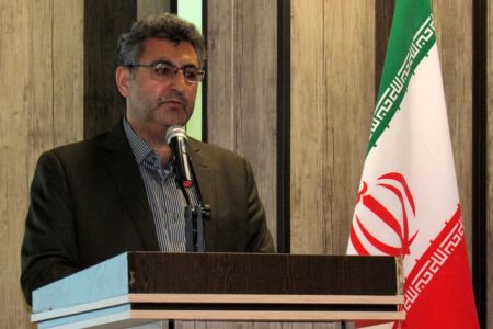 اخبار,اخبار سیاسی,محسن نسج همدانی