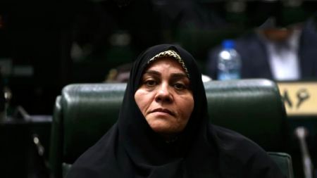اخبار,اخبار سیاسی,فاطمه سعیدی