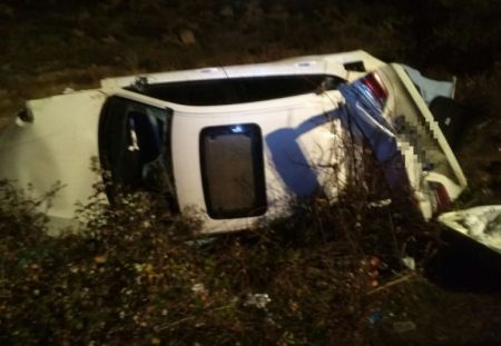 اخبار,اخبار ورزشی,تصادف سرمربی والنسیا با یک گراز