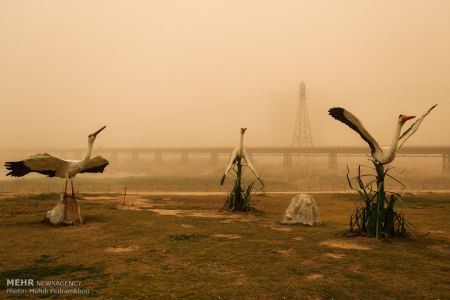 اخبار,عکس خبری,گردوخاک دراهواز