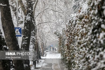   اخباراجتماعی  ,خبرهای اجتماعی  ,برفی که فقط در نصف تهران بارید 