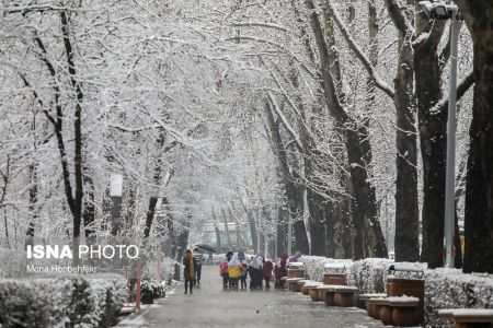   اخباراجتماعی  ,خبرهای اجتماعی  ,برفی که فقط در نصف تهران بارید 