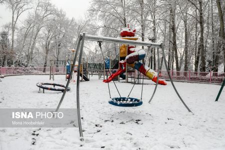   اخباراجتماعی  ,خبرهای اجتماعی  ,برفی که فقط در نصف تهران بارید 