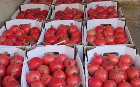 اخبار اقتصادی ,خبرهای اقتصادی , قیمت انار اخبار اقتصادی ,خبرهای اقتصادی , قیمت انار
