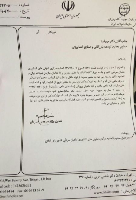 اخبار,اخبار اقتصادی,ماهی تیلاپیا اخبار,اخبار اقتصادی,ماهی تیلاپیا