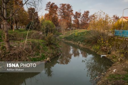 اخبار,عکس خبری,تالاب انزلی