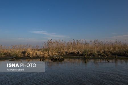 اخبار,عکس خبری,تالاب انزلی