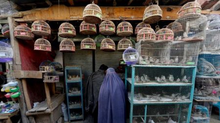 اخبار,اخبارگوناگون,بازار پرنده‌فروشان کابل