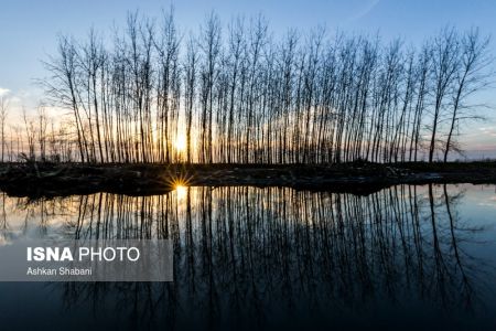 اخبار,عکس خبری,تالاب انزلی