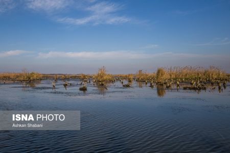 اخبار,عکس خبری,تالاب انزلی