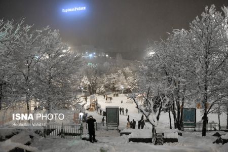   اخباراجتماعی  ,خبرهای  اجتماعی  ,تهران سفید پوش