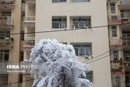 اخبار اقتصادی ,خبرهای اقتصادی, بازار مسکن اخبار اقتصادی ,خبرهای اقتصادی, بازار مسکن