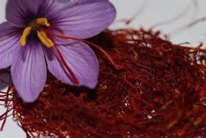 اخبار اقتصادی,خبرهای اقتصادی, طلای سرخ اخبار اقتصادی,خبرهای اقتصادی, طلای سرخ