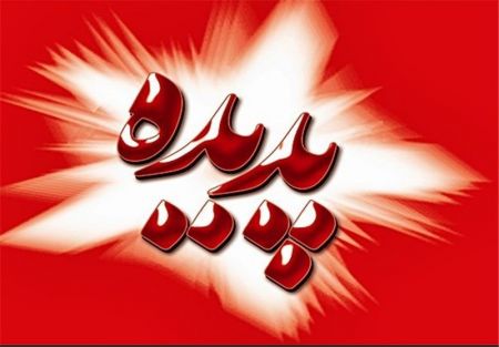 اخبار اقتصادی ,خبرهای اقتصادی , پرونده پدیده اخبار اقتصادی ,خبرهای اقتصادی , پرونده پدیده