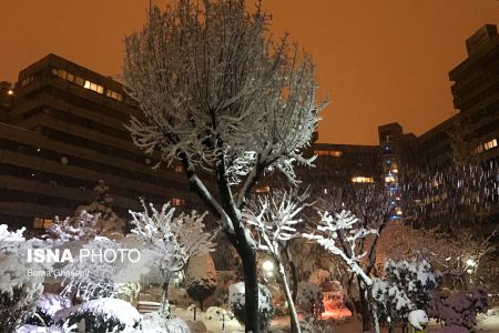   اخباراجتماعی  ,خبرهای  اجتماعی  ,تهران سفید پوش