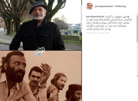 اخبار,اخبارفرهنگی وهنری,پرویزپرستویی