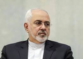   اخبارسیاسی ,خبرهای  سیاسی , هواپیمای ظریف