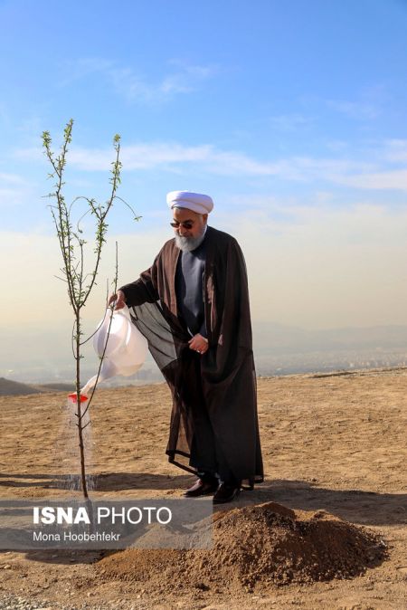 اخبارسیاسی ,خبرهای سیاسی ,کاشت یک اصله نهال بادام توسط رییس جمهور اخبارسیاسی ,خبرهای سیاسی ,کاشت یک اصله نهال بادام توسط رییس جمهور