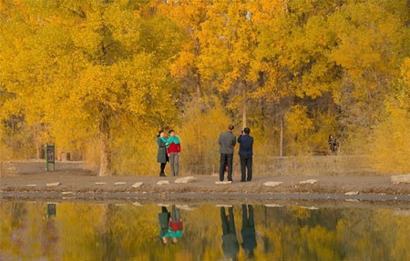 عکسهای جالب,عکسهای جذاب,عکاسی گرشگران 