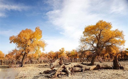 عکسهای جالب,عکسهای جذاب, 