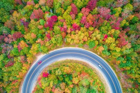 طبیعت پاییزی – جنگلی اطراف بزرگراه عکسهای جالب,عکسهای جذاب,عکسی هوایی