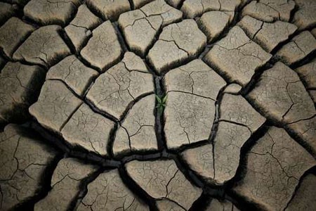 خشکسالی بی سابقه در شهر کیپ تاون آفریقای جنوبی و جیره بندی آب. تصویر رویش یک گیاه را در زمین پشت یک سد خشک شده در حومه پایتخت آفریقای جنوبی را نشان می دهد/ عکس: رویترز عکسهای جالب,عکسهای جذاب,خشکسالی