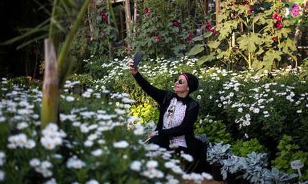 عکسهای جالب,عکسهای جذاب ,جشنواره گل‌ 