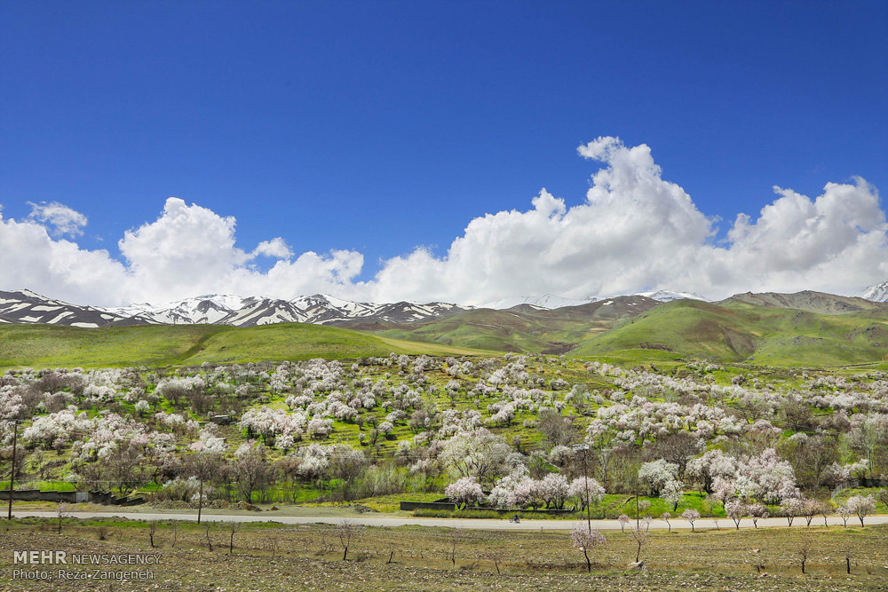 اخبار,انعکاس, طبیعت بهاری همدان