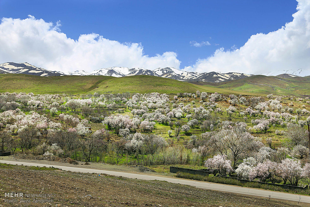 اخبار,انعکاس, طبیعت بهاری همدان