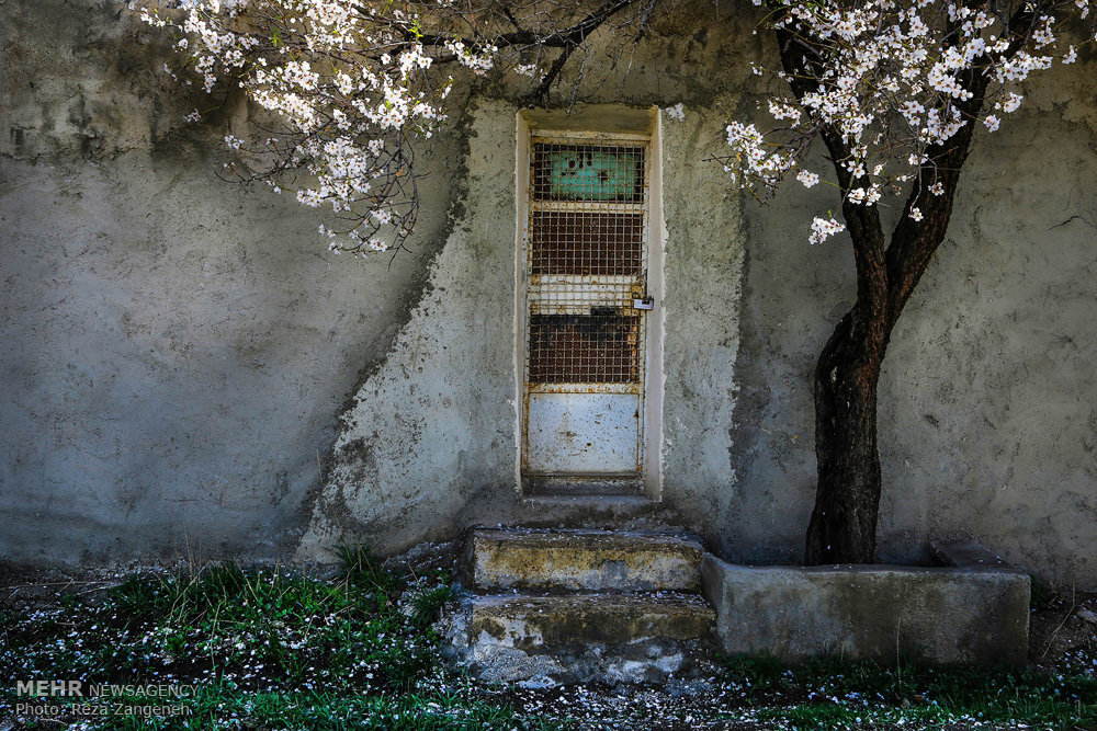 اخبار,انعکاس, طبیعت بهاری همدان