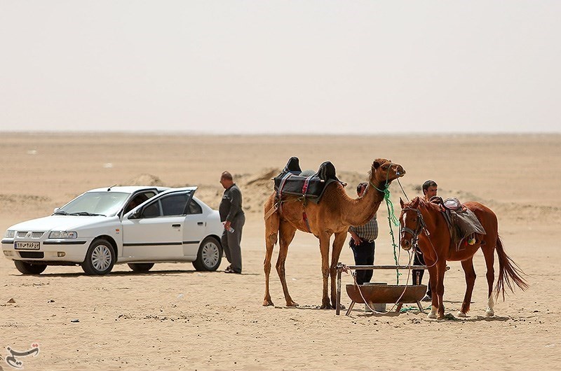 اخبار,انعکاس,کویرگردی