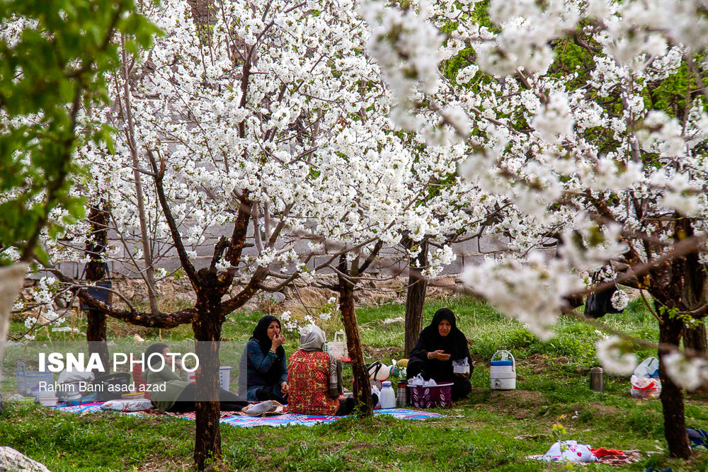 اخبار,عکس خبری,روز طبیعت - استان‌ها