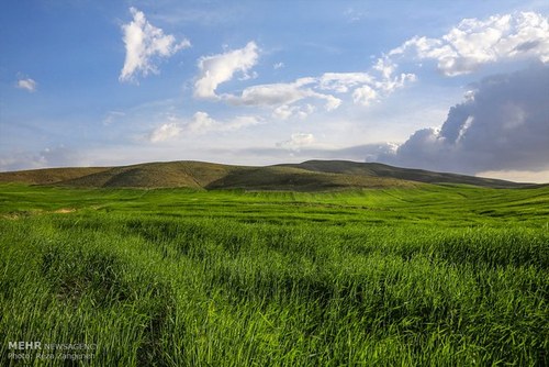 اخباراجتماعی ,خبرهای اجتماعی , مزارع کشاورزی اخبار اجتماعی ,خبرهای اجتماعی, مزارع کشاورزی