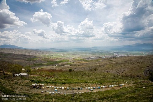 اخباراجتماعی ,خبرهای اجتماعی , مزارع کشاورزی اخبار اجتماعی ,خبرهای اجتماعی, مزارع کشاورزی